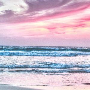 Meet your Posher, Fabbiha & shihab